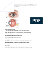 Orbital Exenteration