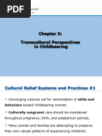 0nursing Culture Chapter 05 1 1