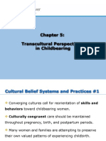 0nursing Culture Chapter 05 1 1