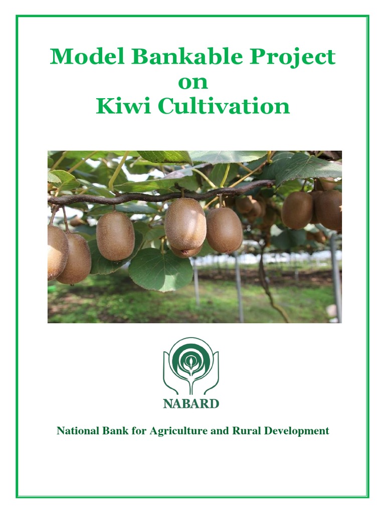 1802203719MBP On Kiwi Cultivation Final E1 PDF Horticulture Botany