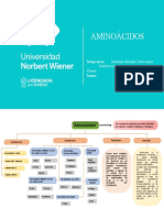 Mapa Mental de Aminoacidos