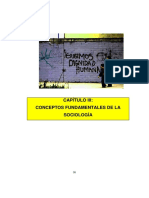 6) Cap Iii Conceptos Fundamentales de La Sociología