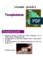 Toxogondii