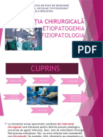 Chirurgie Prezentare