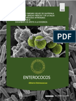 2d. GÉNERO ENTEROCOCCUS