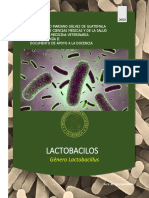 2e. GÉNERO LACTOBACILLUS