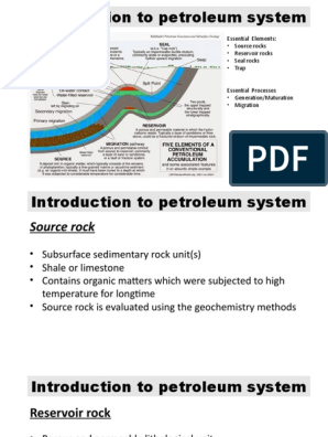 Petroleum Source Rocks A Basic Introduction 