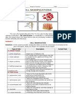 Cell-Modifications Activity