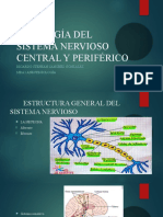 Fisiologia Sistema Nervoso Anestesiologia