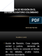 La Acción de Revisión en El Sistema Acusatorio