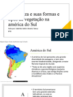 A Natureza e Suas Formas e Tipos de Vegetação Na América Do Sul