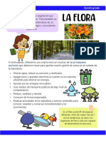 Ficha de Información - Flora