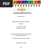 Plan Operativo
