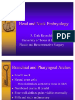 Branchial Pharyngeal Arches Concise