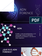 Adn Forence