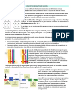 Conceptos de Genética de Grupo