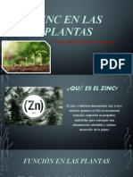 Zinc en Las Plantas