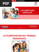 La Planificacion Curricular: Educación Inicial