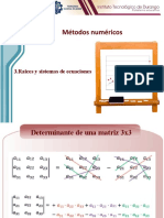 Raices y Sistemas de Ecuaciones