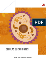 Me593 - S04 - MD - Células Eucariontes - V2