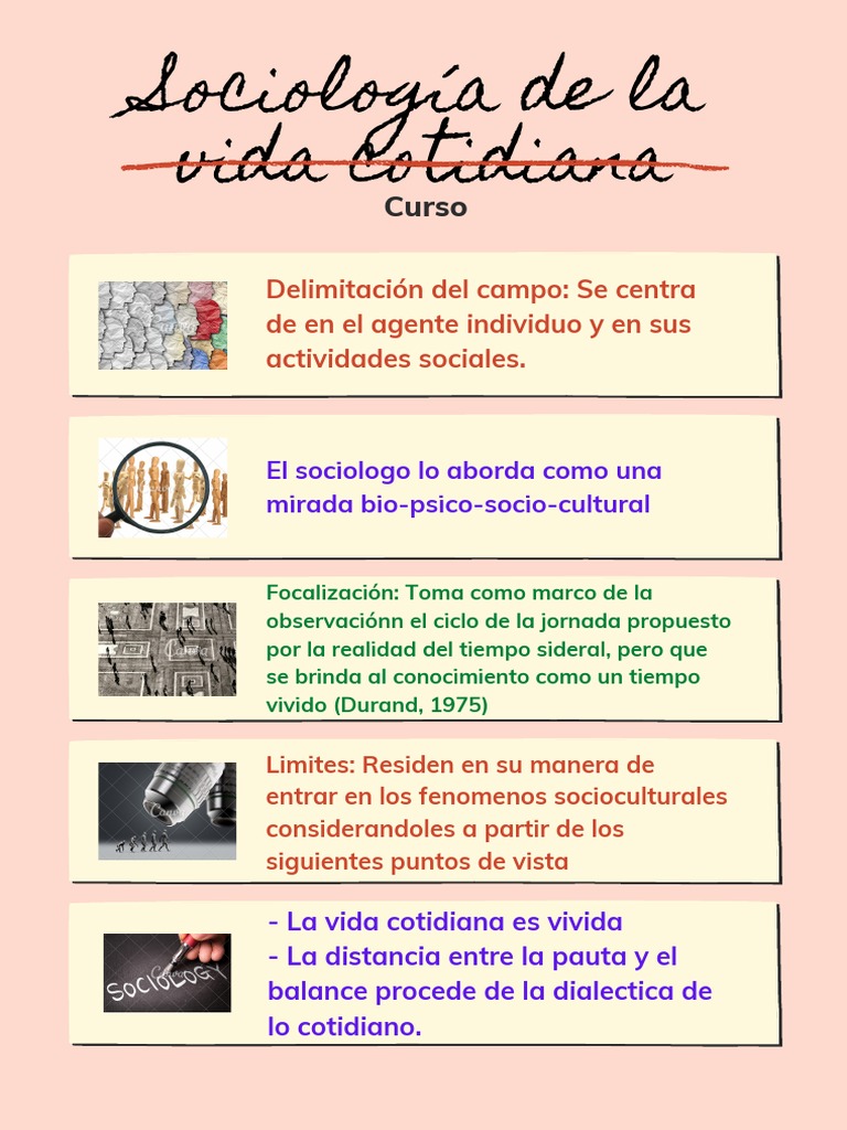 Sociología de La Vida Cotidiana Infografía PDF