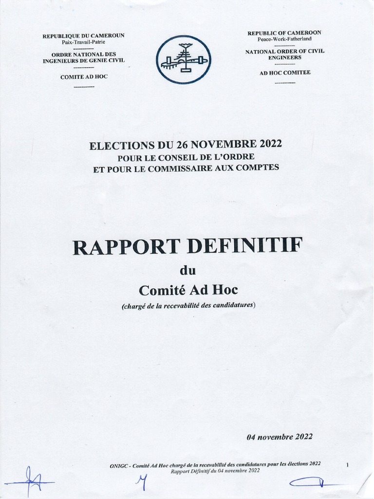 Rapport Definitif Du Comite Ad Hoc | PDF