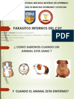 Parásitos internos del cuy enfermedades y tratamientos