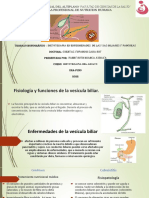 de Enfemedades Vias Bibliares y Pancreas