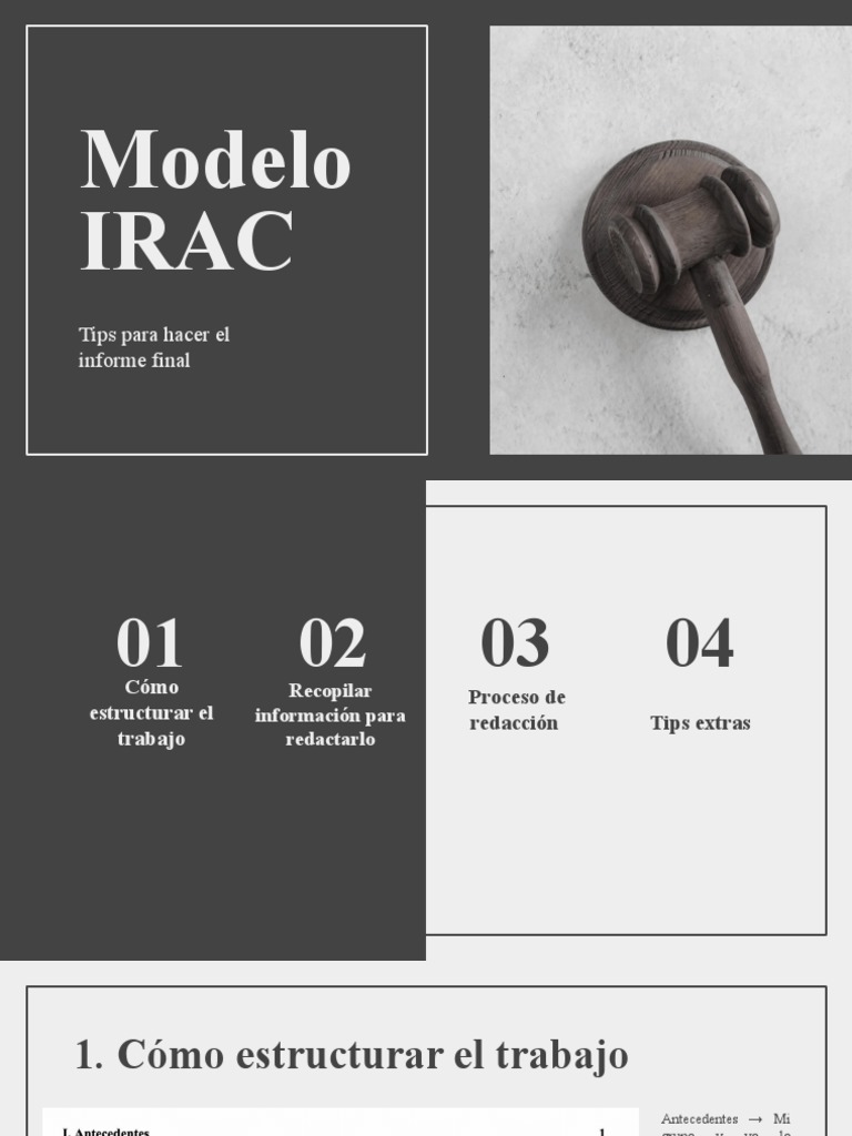 Informe Final: Estructura Modelo IRAC | PDF