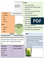 Materiais: Procedimentos: Introdução