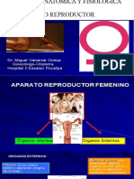 Clase 2 - Anatomía Del Aparato Reproductor Femenino - Valverde