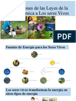 PresentaciónLos Seres Vivos y Las Leyes de La Termodinámica (3) No Se Ve Opciones de