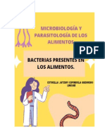 Bacterias Presentes en Los Alimentos