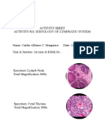 Histology of The Lymphatic System, Margarico, Carlus Alfonso, 1syear & BSMLS1-G