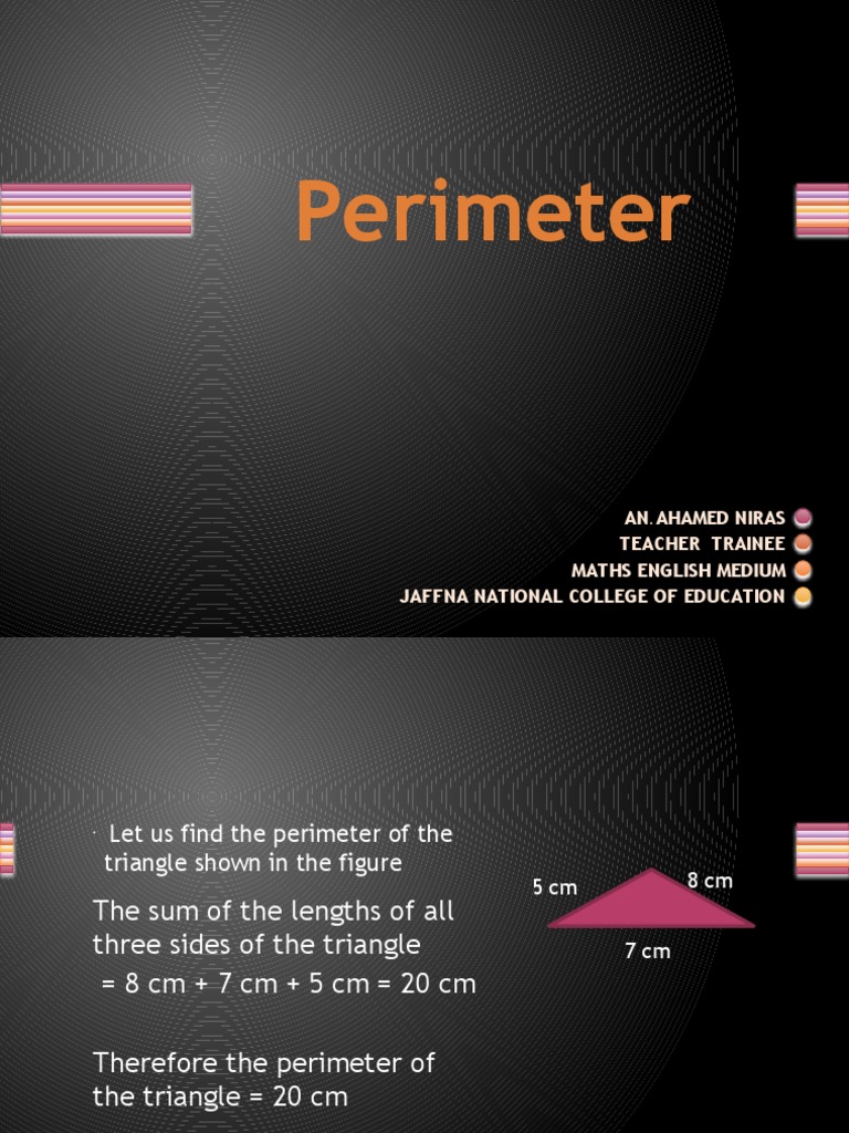 Perimeter | PDF