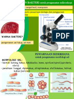 Mg 2 Penjelasan keanekaragam org mikroskopis