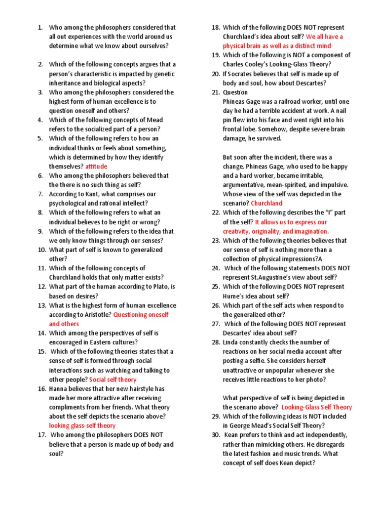 Understanding The Self Questionnaire | PDF
