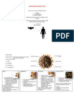 7 Types of Coronaviruses Explained