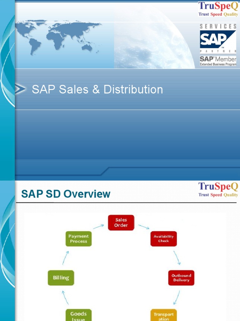 02 Sap Sd Overview Pdf Invoice Receipt