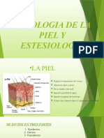 Fisiologia de La Piel y Estesiologia Exponer