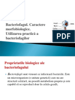 Bacteriofagii 2020-69568