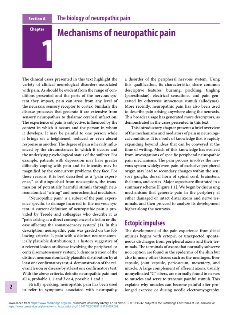 Mechanisms of Neuropathic Pain Explained | PDF | Pain | Neuron
