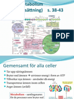 Bi2 Cellens Metabolism Sid 38-42