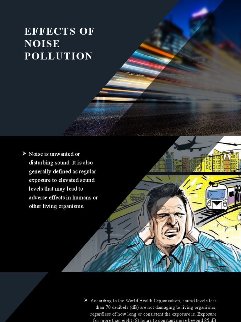 Effects of Noise Pollution on Health | PDF