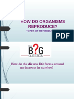 How Do Organisms Reproduce - Introduction (15109)