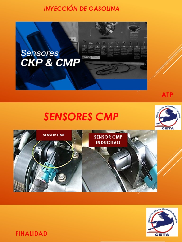 Función y Tipos de Sensores CMP | PDF | Distribuidor | Diodo emisor de luz