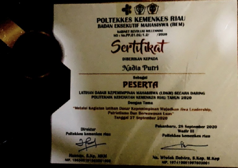 Dosen Poltekkes Kemenkes Riau Tingkatkan Kemampuan Kader Kesehatan di Desa Ranah Singkuang