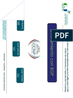 ROUTE Cap08 BGP+para+CCNA v1.0