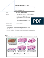 LKPD Jaringan Epitel