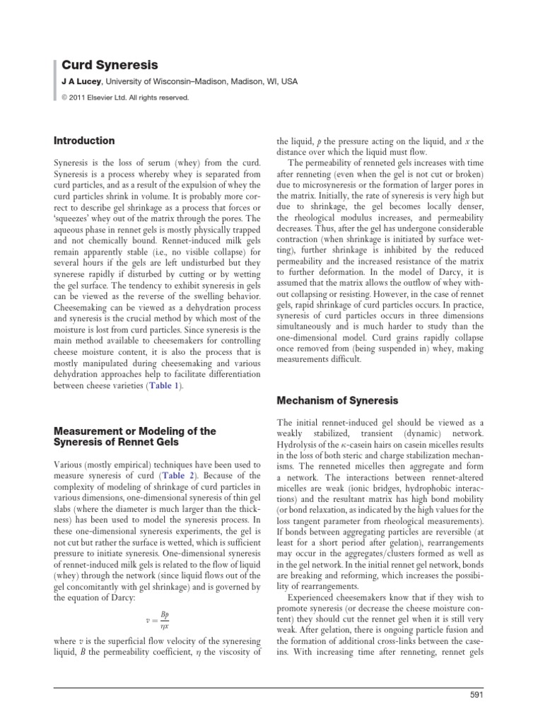 Curd Syneresis in Cheesemaking | PDF | Cheesemaking | Cheese